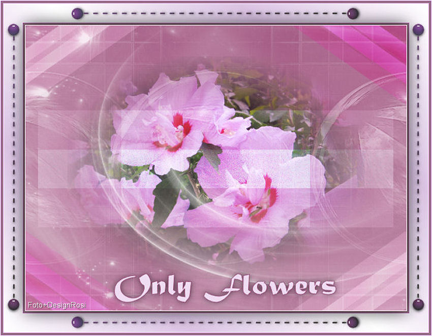 only_flowers01gpktq.jpg