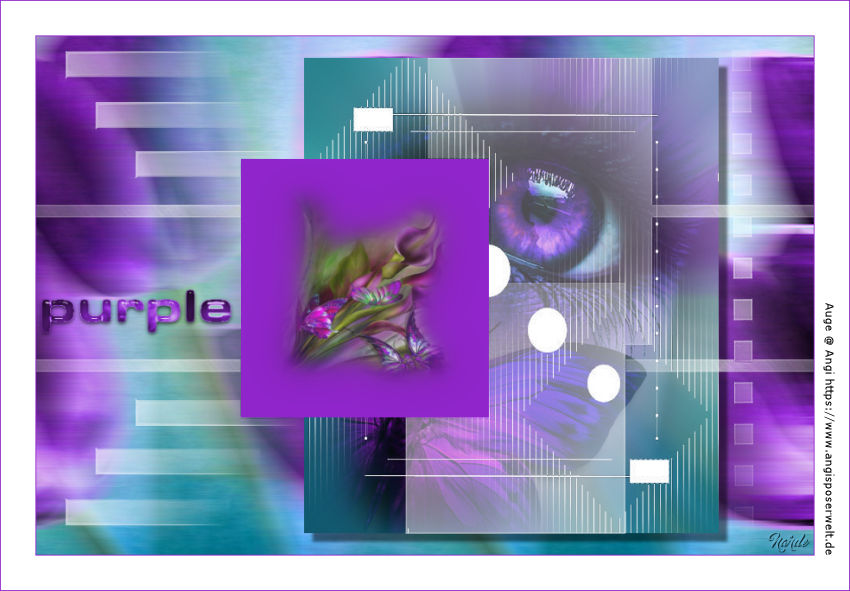 sternchen06_purple_navkk5x.jpg
