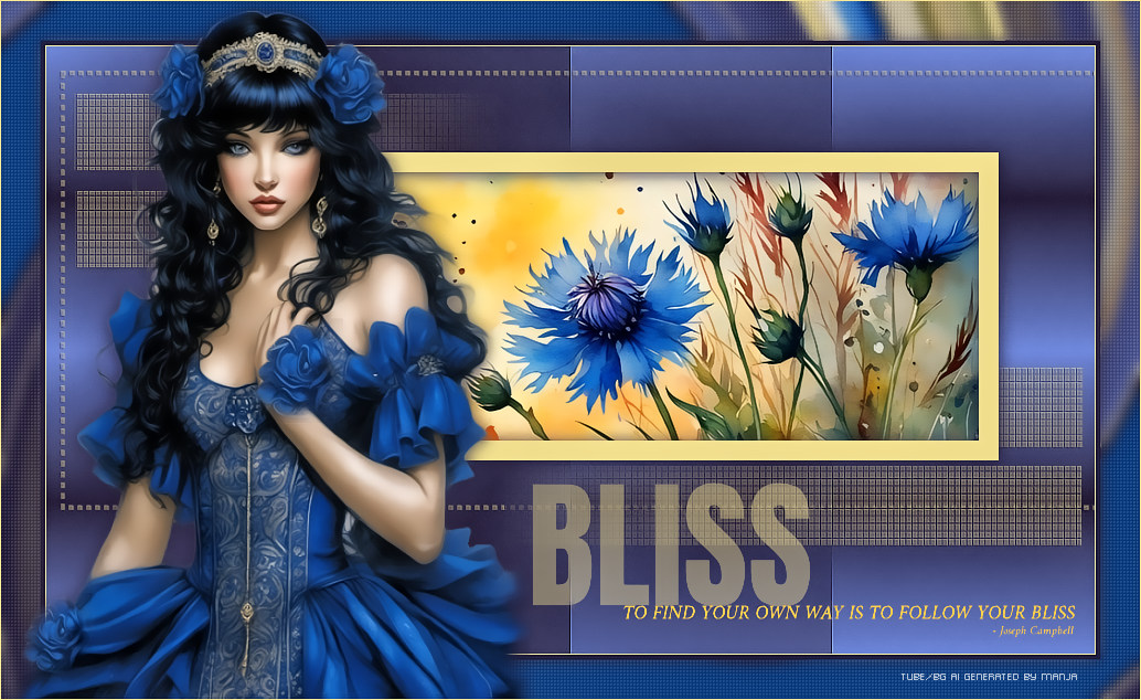 -bliss5hc92.jpg