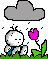 :chubie33